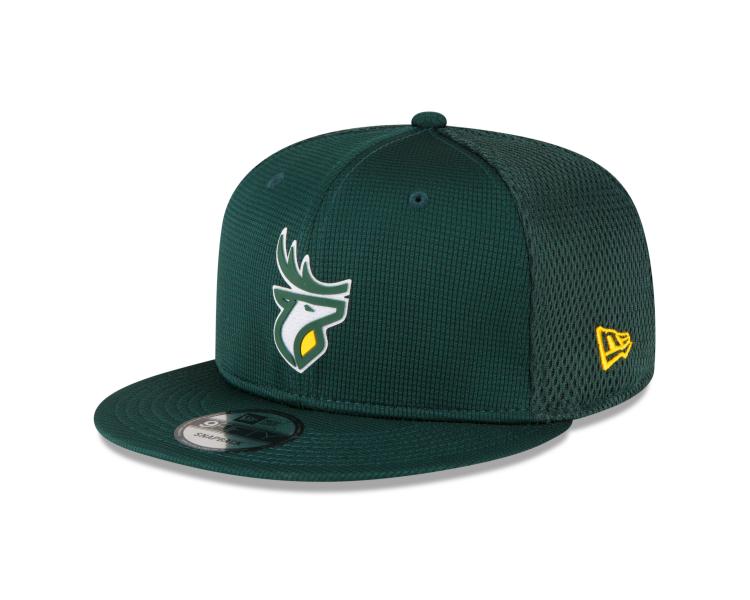 Edmonton Elks New Era 2023 Official Sideline 9FIFTY Snapback Hat