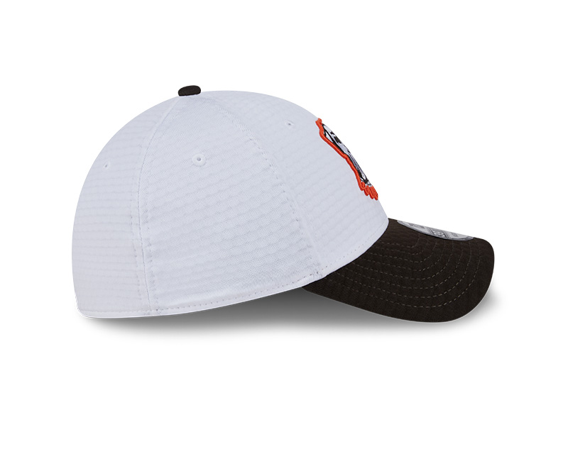 cleveland browns nike hat