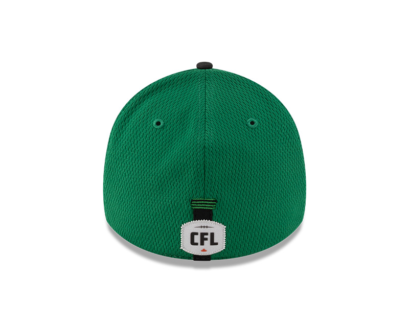Saskatchewan Roughriders New Era 2025 Official Sideline