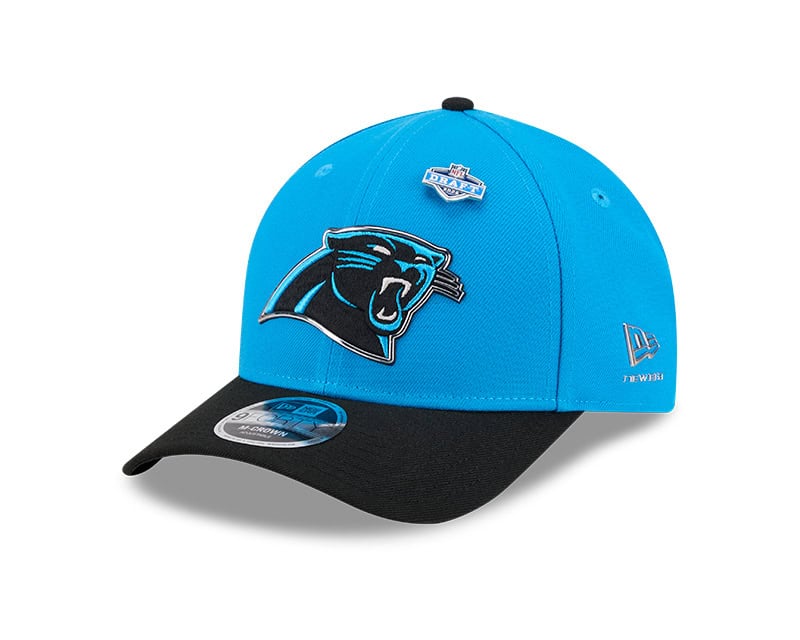 Carolina Panthers Archives - Sports Closet